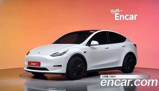 Tesla Model Y Long Range AWD