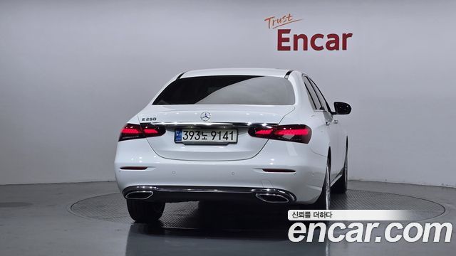 Mercedes-Benz E-Class (W213) E250 Exclusive 2021 — фото 4