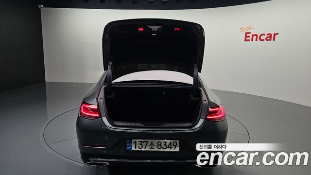 Mercedes-Benz CLS-Class (C257) CLS400d 4MATIC 2019 — фото 34