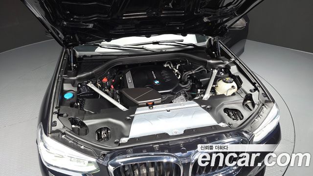 BMW X4 (G02) xDrive20d M Sports Online Exclusive Edition 2021 — фото 6
