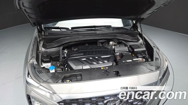Hyundai Santa Fe (TM) Diesel 2.2 2WD Exclusive 2020 — фото 6