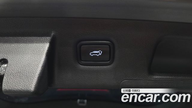 Hyundai Santa Fe (TM) Diesel 2.2 2WD Exclusive 2020 — фото 31