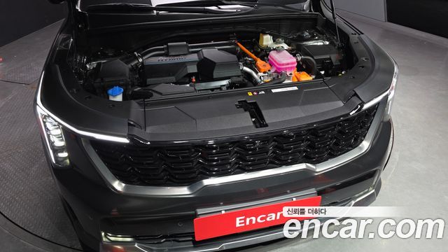 Kia Sorento (IV) HEV 1.6 2WD Signature 2025 — фото 6