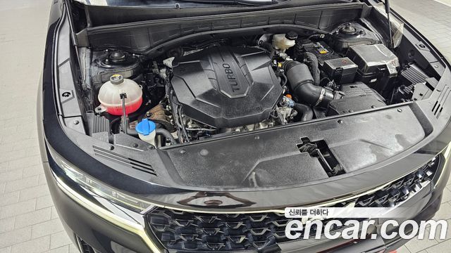 Kia Sorento (IV) Diesel 2.2 2WD Noblesse 2023 — фото 6