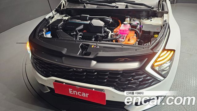 Kia Sportage Hybrid (V) Signature 2WD 2024 — фото 6