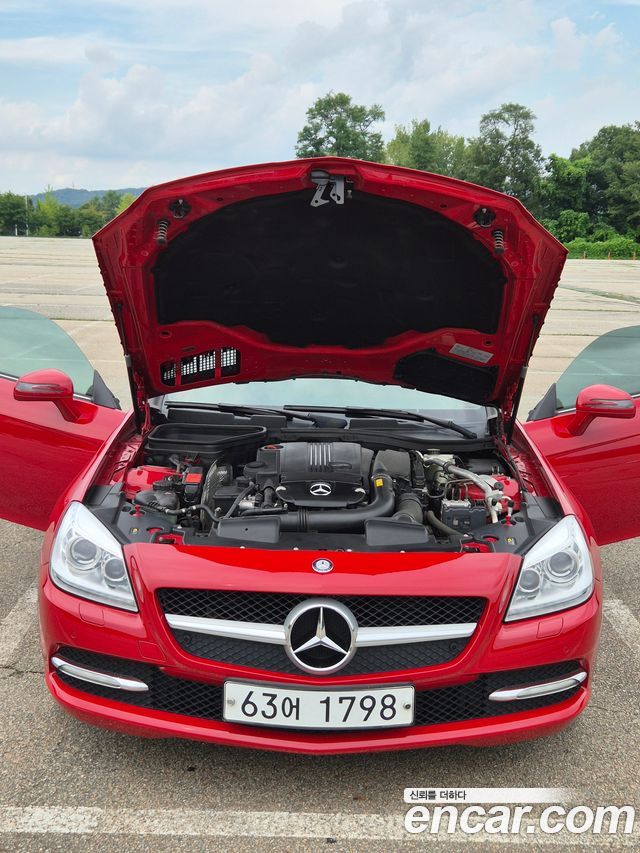 Mercedes-Benz SLK-Class 200 Blue Efficiency R172 2012 — фото 22