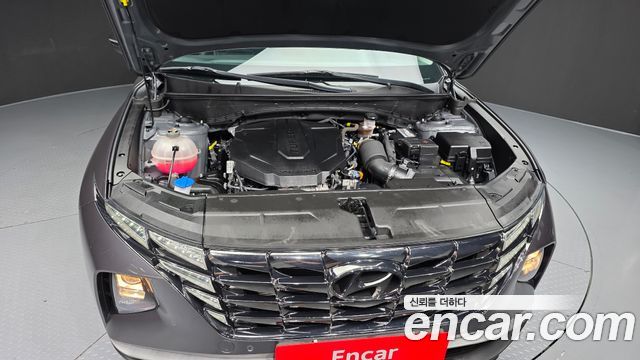 Hyundai Tucson (NX4) Diesel 2.0 2WD Premium 2023 — фото 6