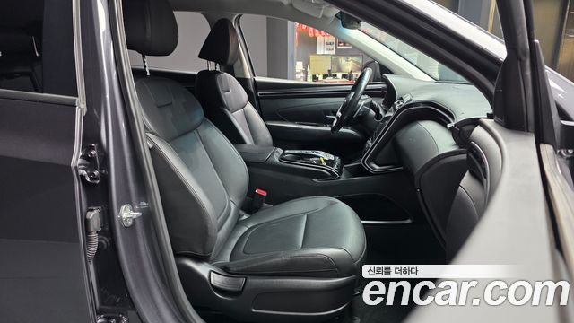 Hyundai Tucson (NX4) Diesel 2.0 2WD Premium 2023 — фото 11