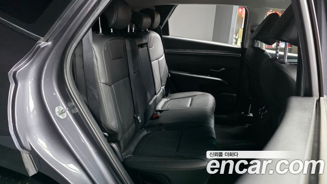 Hyundai Tucson (NX4) Diesel 2.0 2WD Premium 2023 — фото 12