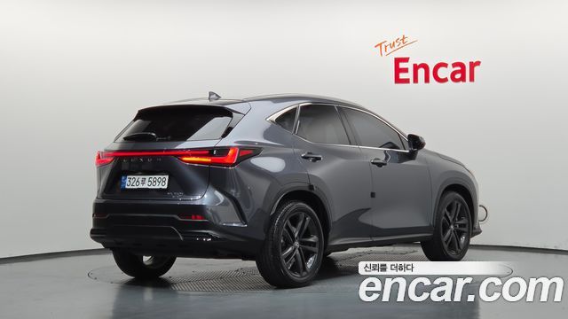 Lexus NX350h (II) Premium 2024 — фото 2