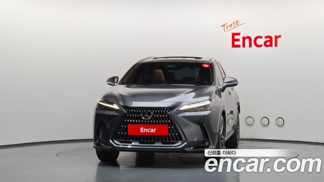 Lexus NX350h (II) Premium 2024 — фото 3