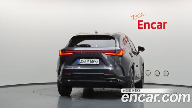 Lexus NX350h (II) Premium 2024 — фото 4