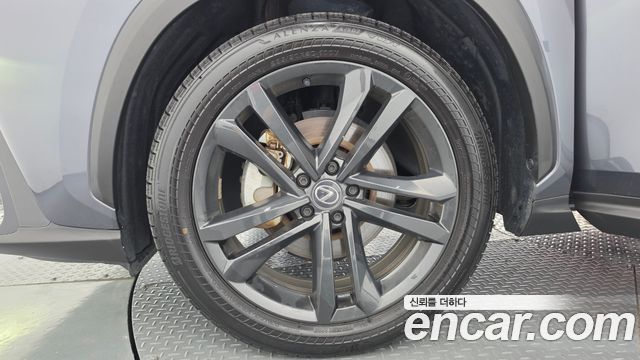 Lexus NX350h (II) Premium 2024 — фото 5