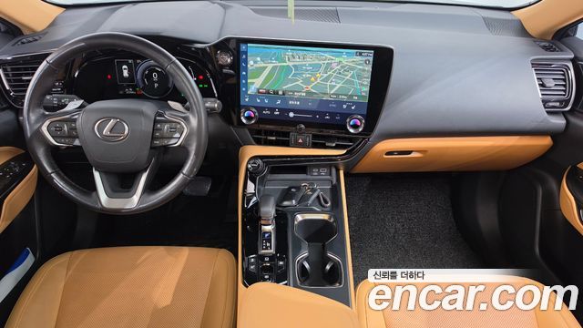 Lexus NX350h (II) Premium 2024 — фото 7