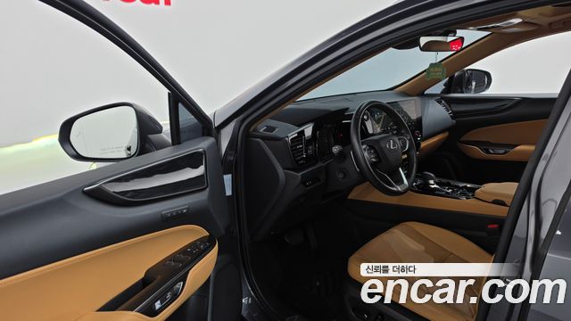 Lexus NX350h (II) Premium 2024 — фото 10