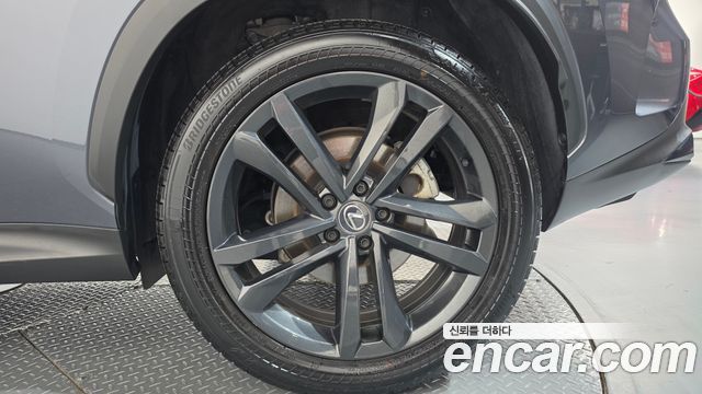 Lexus NX350h (II) Premium 2024 — фото 27