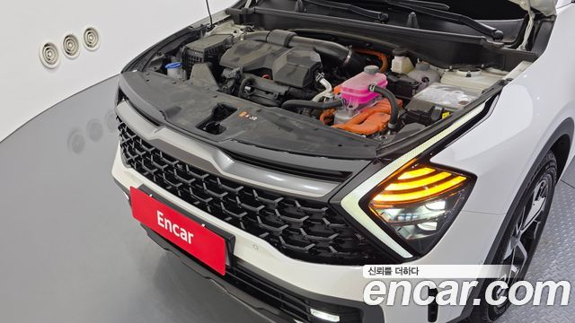 Kia Sportage Hybrid (V) Signature Gravity 2WD 2024 — фото 6