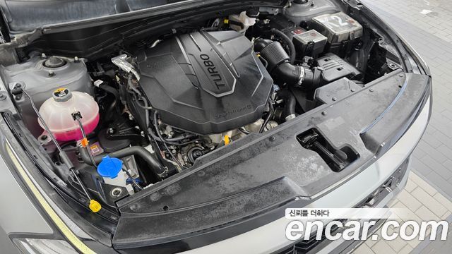 Kia Sportage (V) Diesel 2.0 4WD Prestige 2024 — фото 6