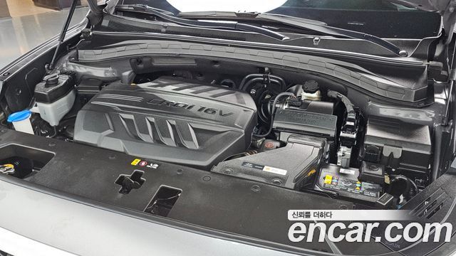 Hyundai Santa Fe (TM) Diesel 2.0 2WD Exclusive 2019 — фото 6