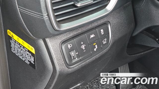 Hyundai Santa Fe (TM) Diesel 2.0 2WD Exclusive 2019 — фото 18