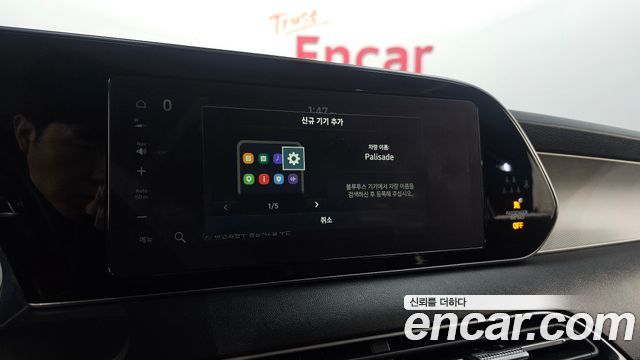 Hyundai Palisade Diesel 2.2 2WD Exclusive 2020 — фото 16