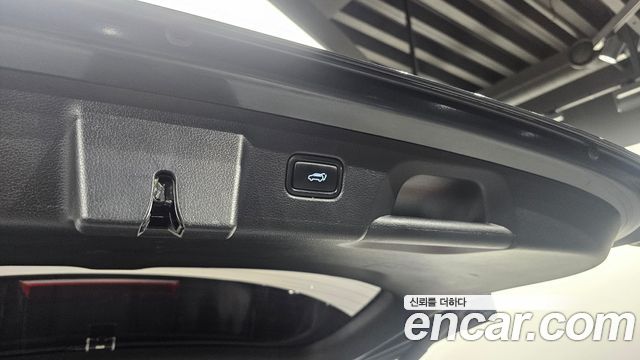 Hyundai Palisade Diesel 2.2 2WD Exclusive 2020 — фото 20