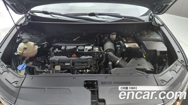 Hyundai Tucson (NX4) Gasoline 1.6 Turbo 2WD Premium 2023 — фото 6