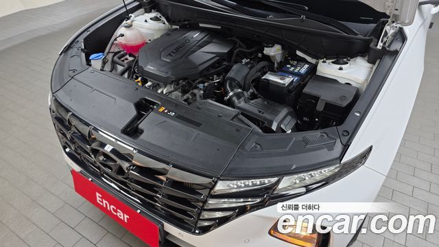 Hyundai Tucson (NX4) Diesel 2.0 2WD Premium 2023 — фото 6