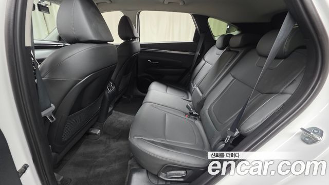 Hyundai Tucson (NX4) Diesel 2.0 2WD Premium 2023 — фото 12