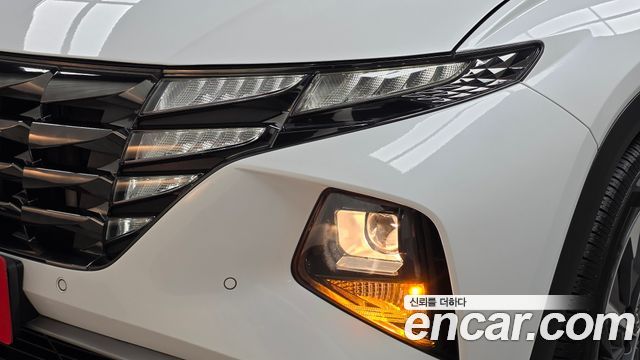 Hyundai Tucson (NX4) Diesel 2.0 2WD Premium 2023 — фото 22