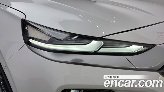Hyundai Santa Fe (TM) Diesel 2.0 2WD Prestige 2020 — фото 28
