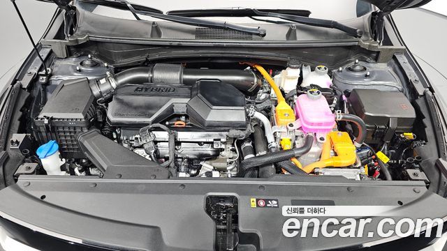 Kia Sportage Hybrid (V) HEV 1.6 2WD Signature 2026 — фото 6