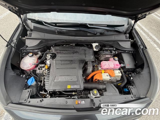 Kia Niro 1.6 HEV Noblesse Special 2021 — фото 6