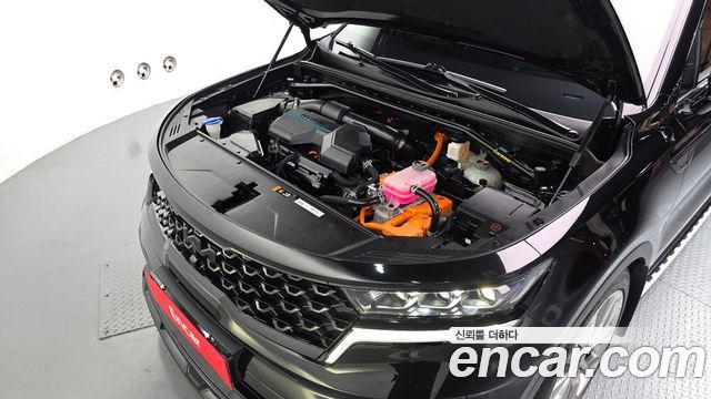 Kia Sorento (IV) HEV 1.6 2WD Noblesse 2022 — фото 6