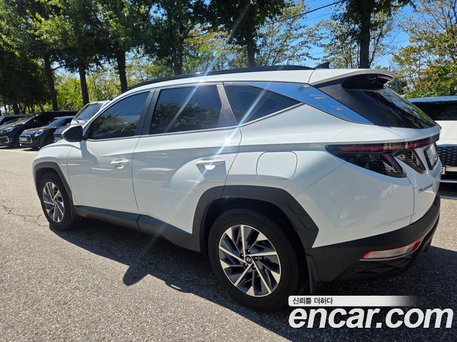 Hyundai Tucson Hybrid (NX4) Premium 2WD 2022 — фото 4