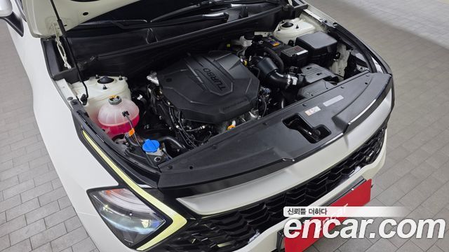 Kia Sportage (V) Diesel 2.0 4WD Trendy 2023 — фото 6