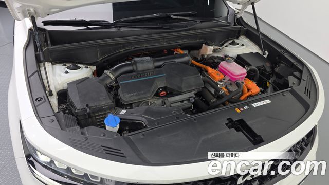 Kia Sorento (IV) HEV 1.6 2WD Signature 2023 — фото 6