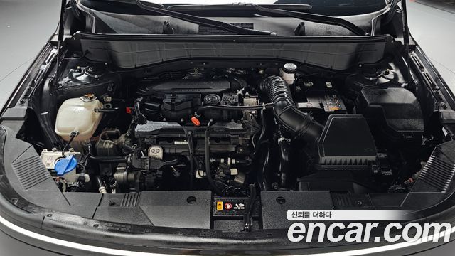 Hyundai Kona (SX2) Gasoline 1.6 Turbo 2WD Modern Plus 2025 — фото 6