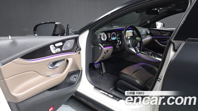 Mercedes-Benz AMG GT 4Door 43 4MATIC+ 2020 — фото 10