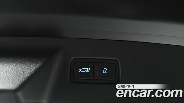 Hyundai Santa Fe (MX5) HEV 1.6 2WD Calligraphy 2024 — фото 20