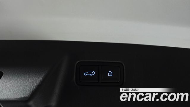 Hyundai Santa Fe (MX5) HEV 1.6 2WD Calligraphy 2024 — фото 24
