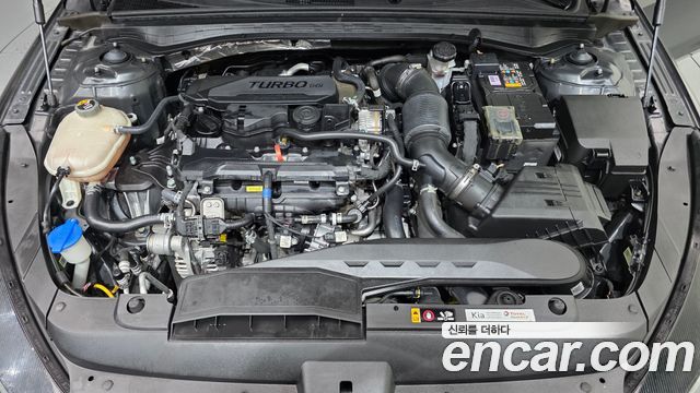 Kia K5 (III) 1.6 Turbo Signature 2023 — фото 6