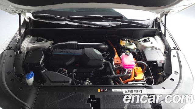 Kia Sorento (IV) HEV 1.6 4WD Gravity 2024 — фото 6
