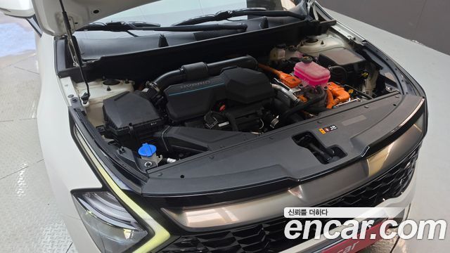 Kia Sportage Hybrid (V) Nobleless 2WD 2024 — фото 6