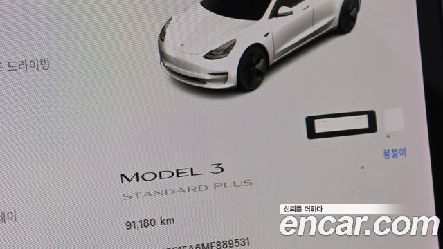 Tesla Model 3 Standard Range Plue RWD 2021 — фото 8
