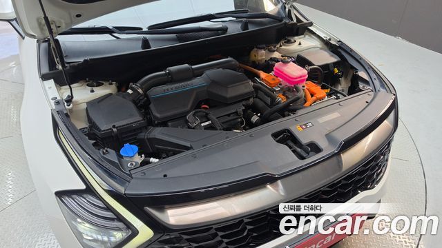 Kia Sportage Hybrid (V) Nobleless 2WD 2023 — фото 6