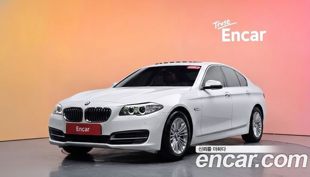 BMW 5 Series (F10) 520d