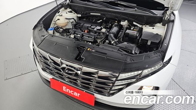 Hyundai Tucson (NX4) Gasoline 1.6 Turbo 2WD Premium 2023 — фото 6