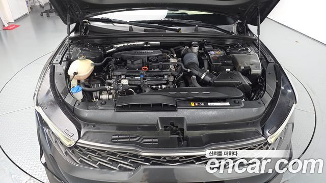 Kia K5 (III) 1.6 Turbo Noblesse 2022 — фото 6