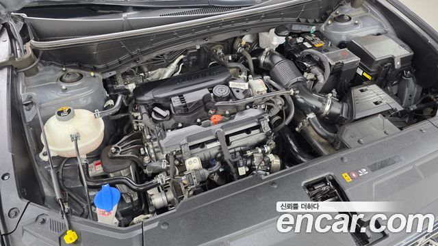 Hyundai Tucson (NX4) Gasoline 1.6 Turbo 2WD N Line Premium 2024 — фото 6